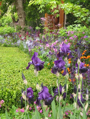 Planting by Chris Beardshaw on the Morgan Stanley Healthy Cities Garden, Chelsea Flower Show 2015