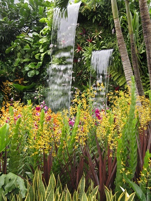 The Hidden Beauty of Kranji, by John Tan and Raymond Toh, RHS Chelsea 2015