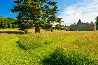 The Mown Parterre Copyright Compton Verney Photograph by Stuart Thomas (small)