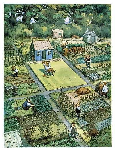 Thelwell Vintage-Gardening-Allotments-Cartoons-Punch-Magazine-1954.05.31.2.SUM