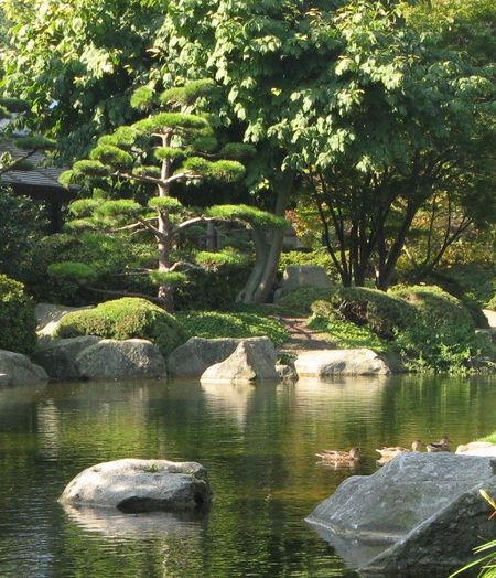 Pond in Japanese Garden, Hamburg Planten un Blomen, Germany