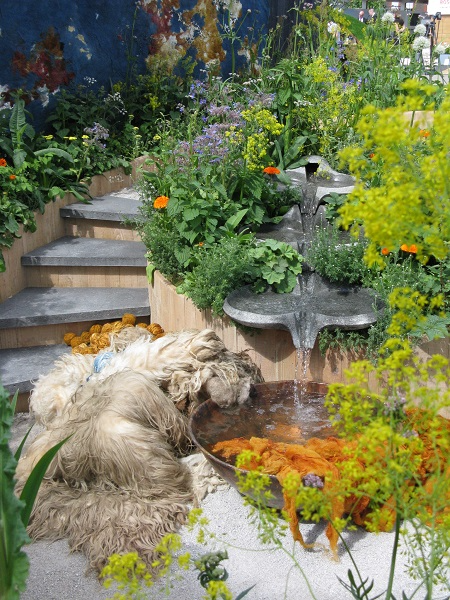 Water feature, The AkzoNobel Honeysuckle Garden, RHS Chelsea 2016