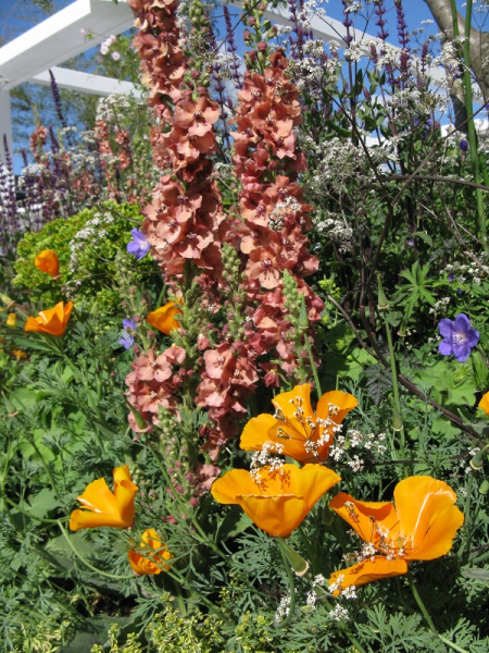 Watahan East and West Garden, Yano TEA and Chihori Shibayana, copyright Helen Gazeley