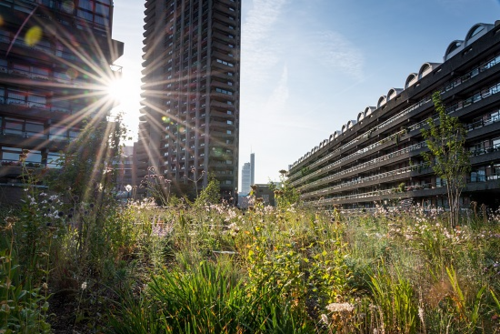 Beech Gardens, Barbican Estate 2