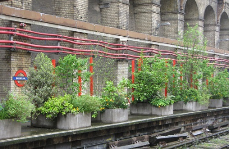 Barbican Underground Station Pop-up garden, Open Garden Squares weekend