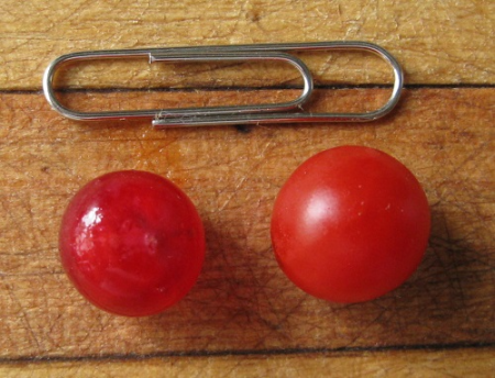 Red Currant tomato, redcurrant