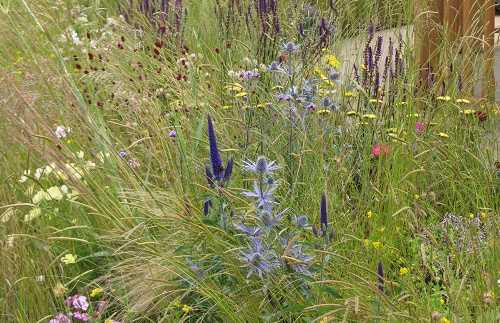 Planting at the UNHCR Border Control Garden, Hampton Court Flower Show 2016