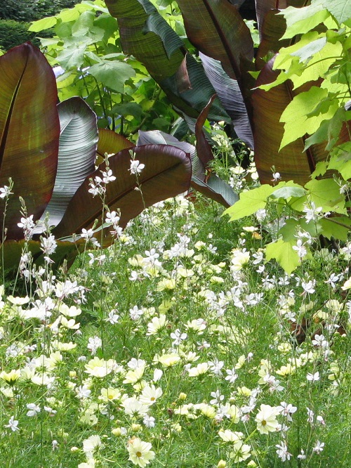 Planting in Victoria Embankment Gardens, Westminster, London