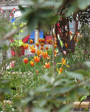 A peep through from one of the benches at the Pocket Park, Snowfields, London SE1