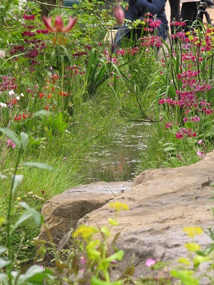 Laurent Perrier garden by Dan Pearson, Best in Show, RHS Chelsea Flower Show, 2015