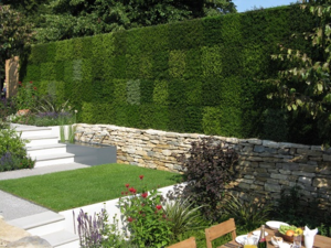 Heathers in Harmony, RHS Hampton Court Flower Show, 2011