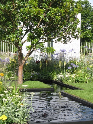 Amnesty International Magna Carta 800 garden, Hampton Court Flower Show 2015