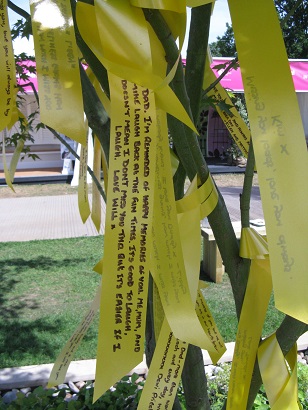 Messages from bereaved children printed on ribbon, Scotty's Little Soldiers garden, 2015