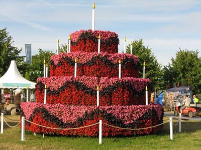 Ball Colegrave Vertigarten Celebration Cake, RHS Hampton Court, 2015