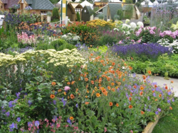 Squire's Garden, RHS Hampton Court 2014