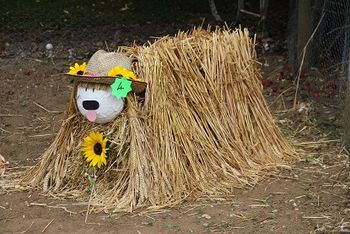 Dougal Scarecrow, winner of Mr Fothergill's staff competition, 2015