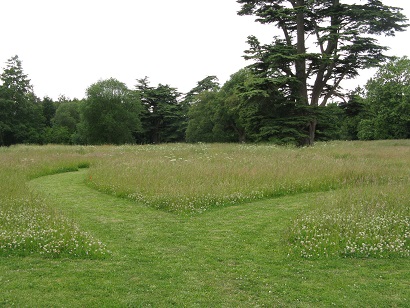 Paths carved in wildflower meadow, Compton Verney