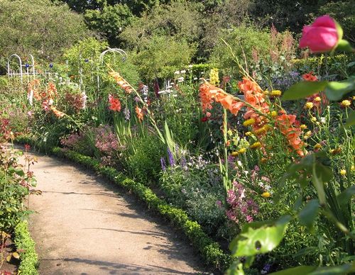 Rose Garden, Hamburg Botanical Garden, Germany