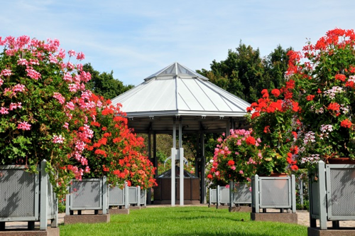 Rosengarten, Planten un Blomen, Hamburg Photo Berndt Andresen