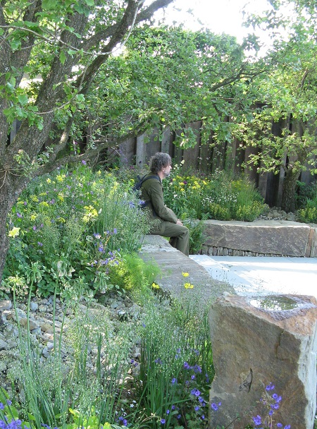 Dan Pearson enjoys Cleve West's MandG Garden, RHS Chelsea flower show, 2016, copyright Helen Gazeley