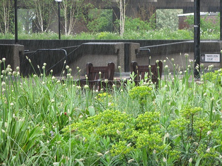 Nigel Dunnett's Beech Gardens, Barbican Estate